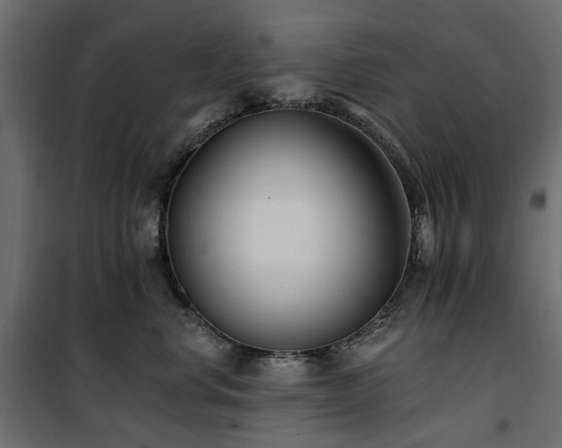 X0000100870668200806201242