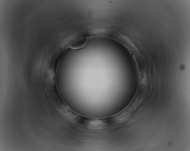 X0000100870669200806201242