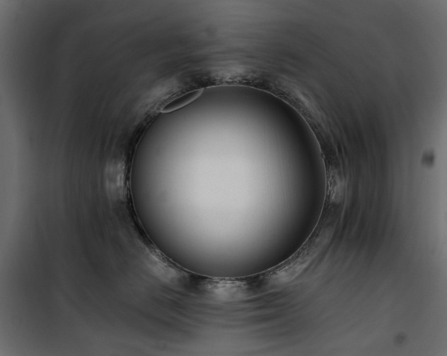 X0000100870670200806201242