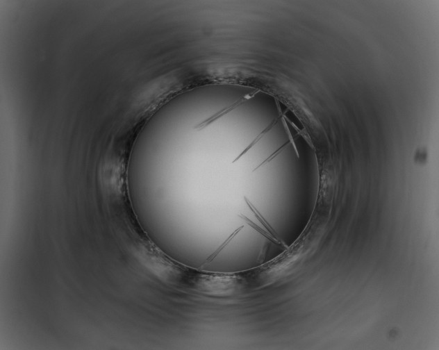 X0000100870671200806201242