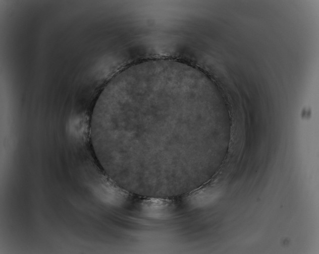X0000100870672200806201242