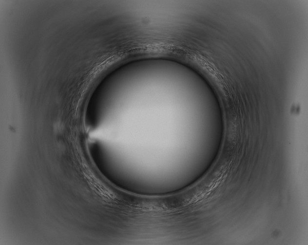 X0000100870673200806201241