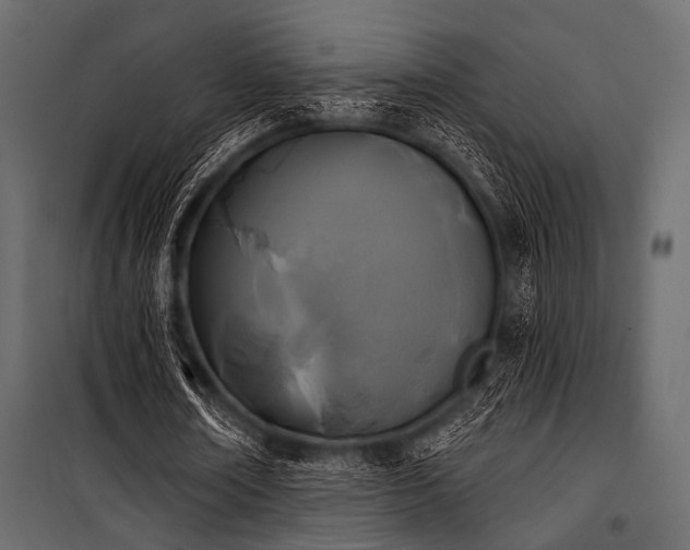 X0000100870674200806201241
