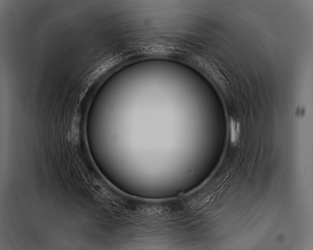 X0000100870675200806201241