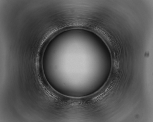 X0000100870676200806201241
