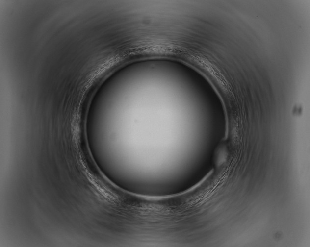 X0000100870677200806201241