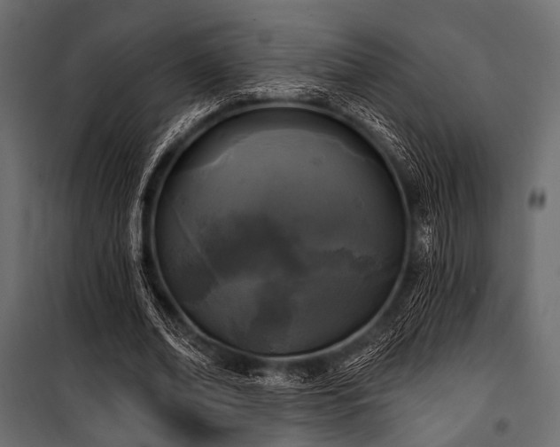 X0000100870678200806201241