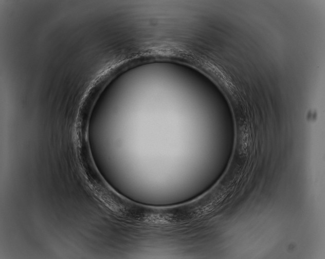 X0000100870680200806201241