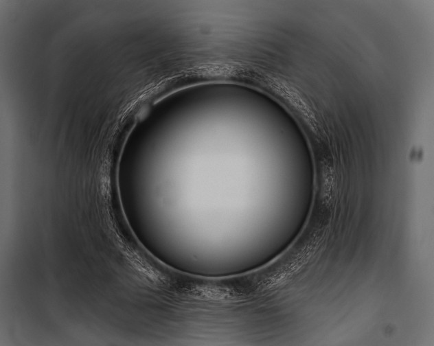 X0000100870681200806201241