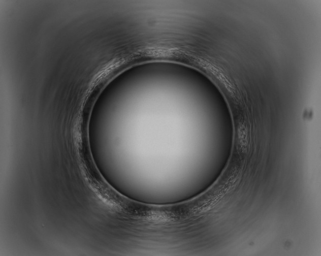 X0000100870682200806201241