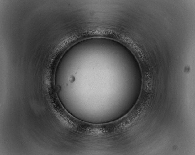 X0000100870683200806201241