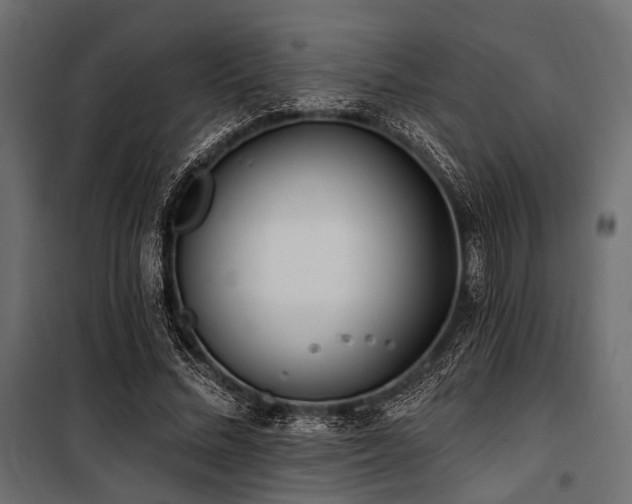 X0000100870684200806201241