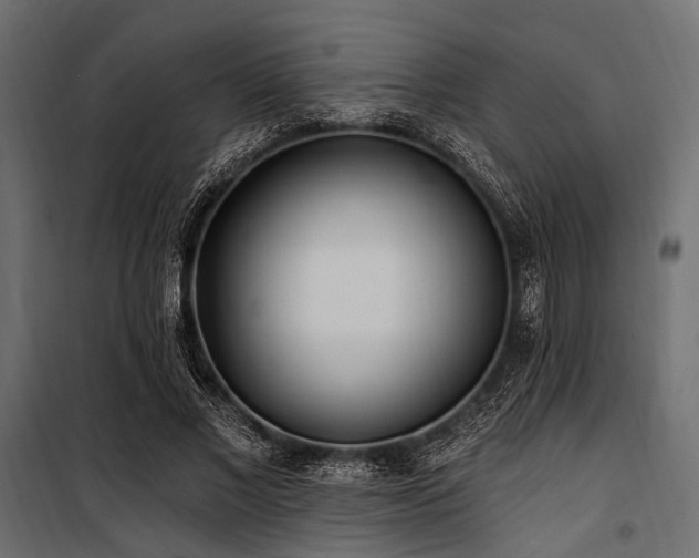 X0000100870685200806201241