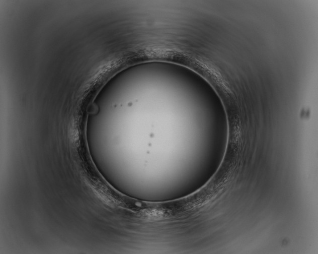 X0000100870687200806201241