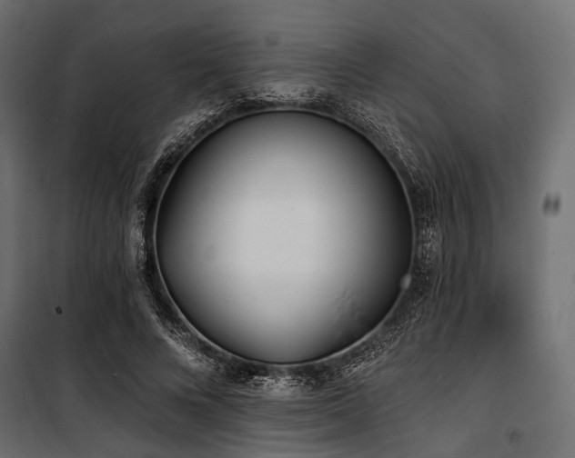 X0000100870688200806201241