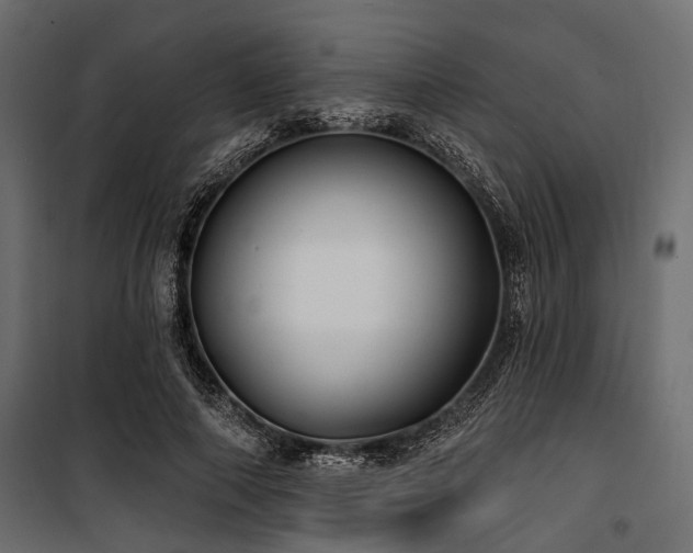 X0000100870690200806201241