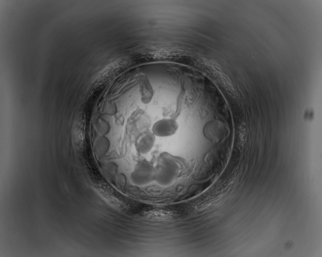 X0000100870691200806201241