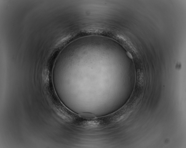 X0000100870692200806201241