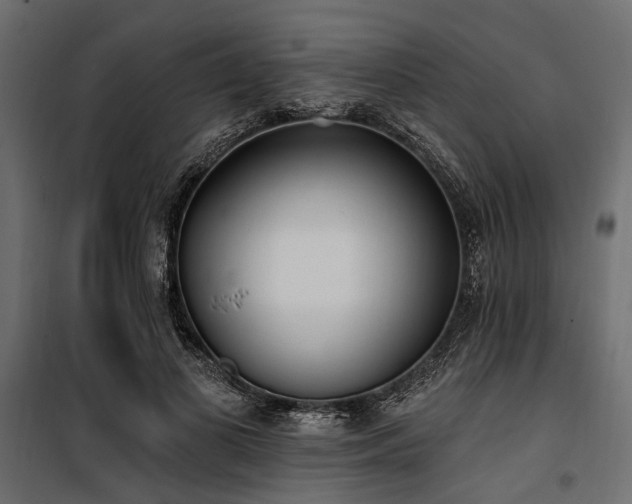 X0000100870693200806201241