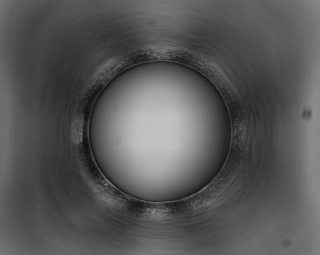 X0000100870694200806201241