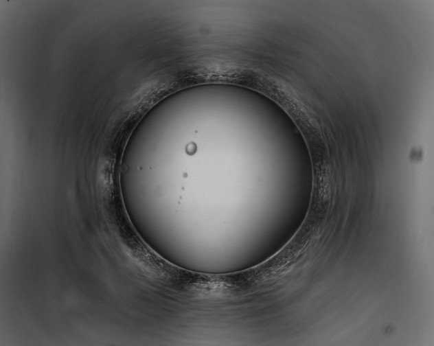 X0000100870695200806201241