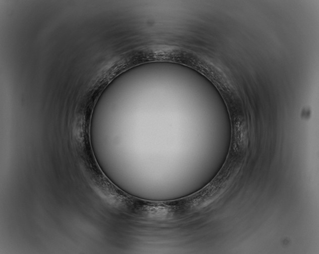X0000100870698200806201241