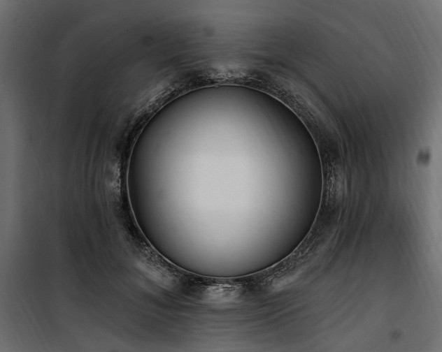 X0000100870700200806201241