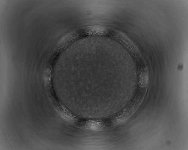 X0000100870701200806201241