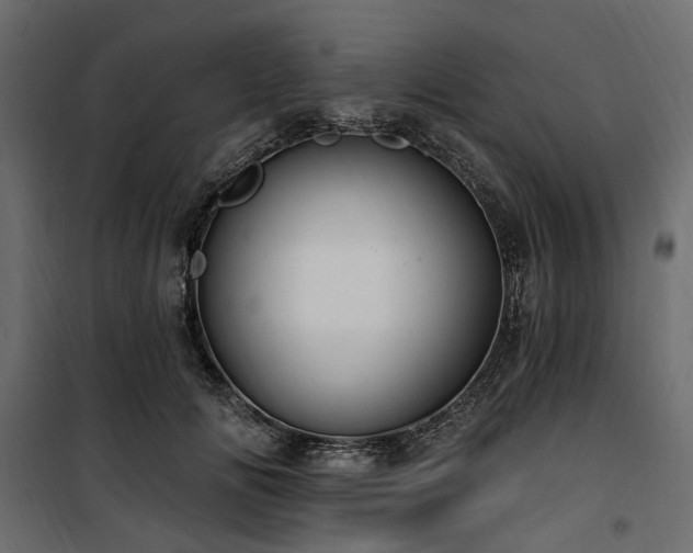 X0000100870702200806201241