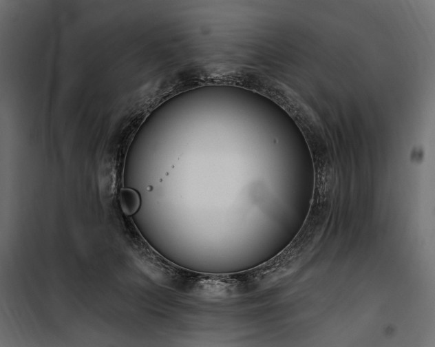 X0000100870703200806201241