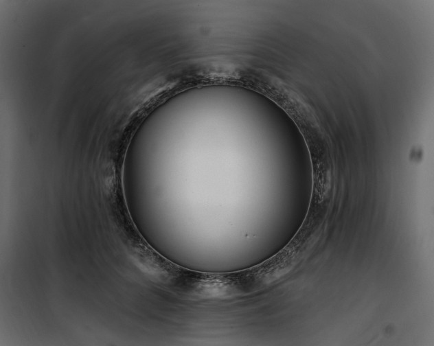 X0000100870704200806201241