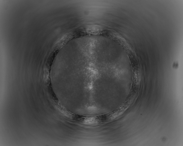 X0000100870705200806201241