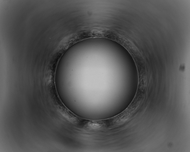 X0000100870706200806201241