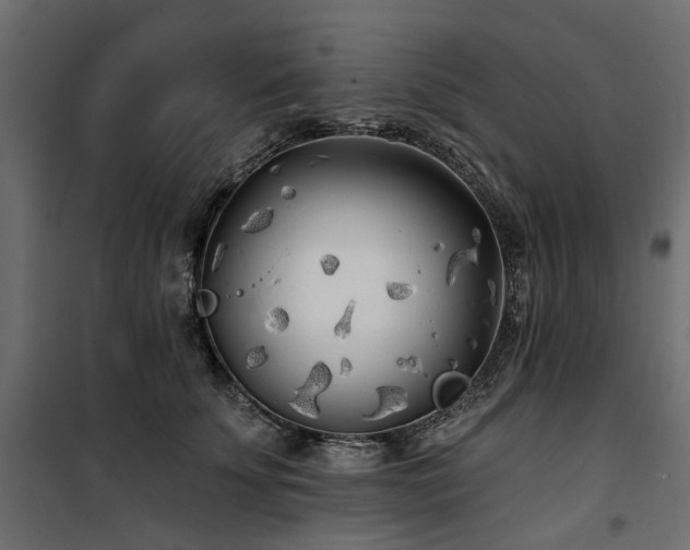 X0000100870707200806201241