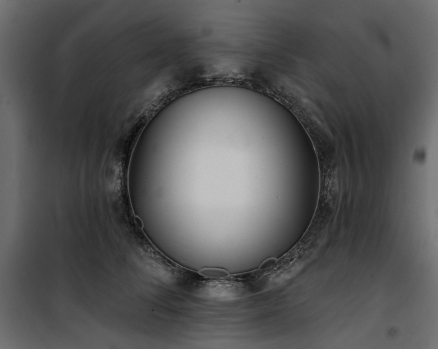 X0000100870708200806201241