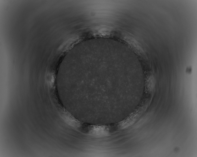 X0000100870709200806201241