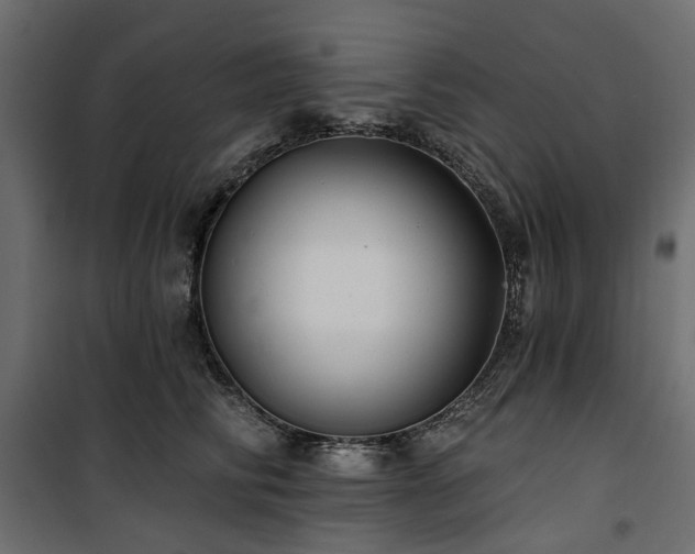 X0000100870710200806201241
