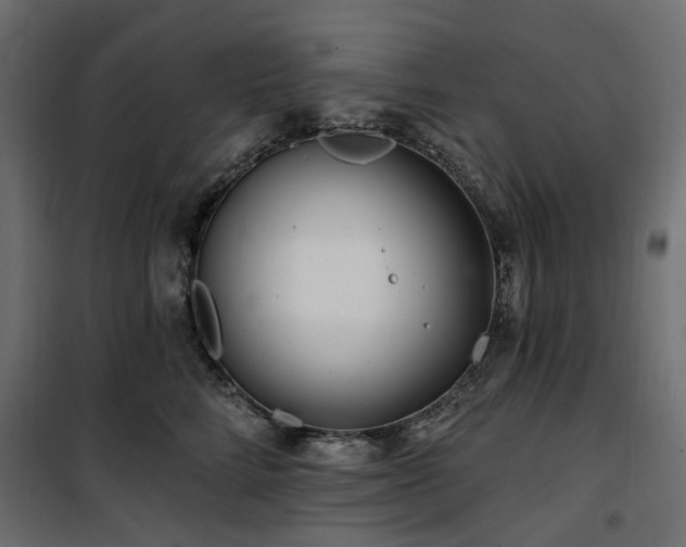 X0000100870712200806201241