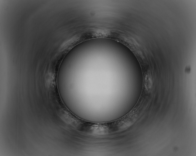 X0000100870714200806201241