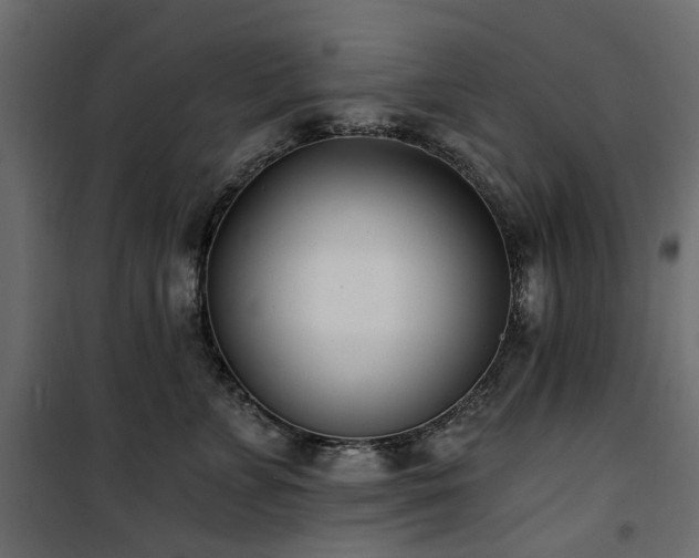 X0000100870715200806201241