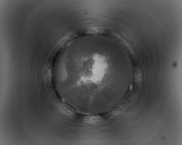 X0000100870716200806201241