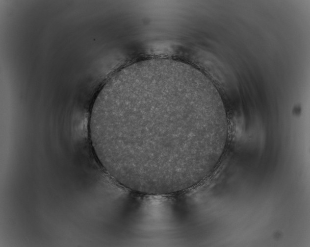X0000100870717200806201241