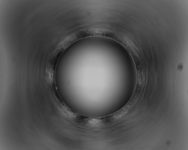 X0000100870718200806201241