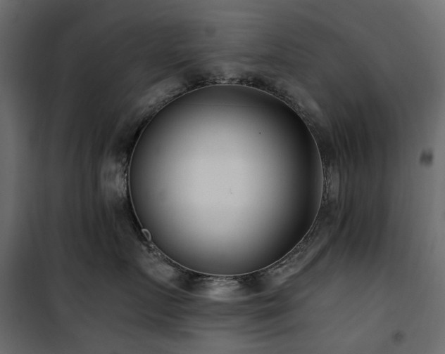 X0000100870719200806201241