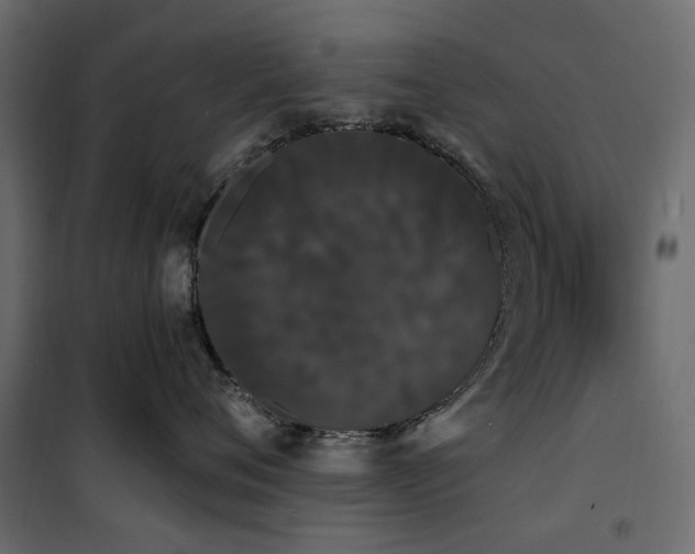 X0000100870720200806201241
