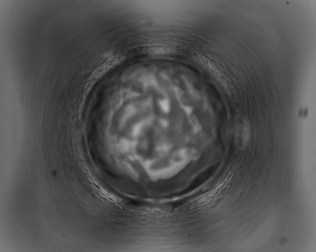 X0000100870721200806201240