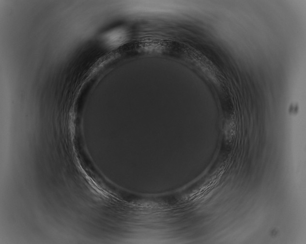 X0000100870722200806201240