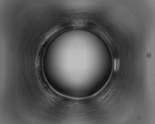 X0000100870723200806201240