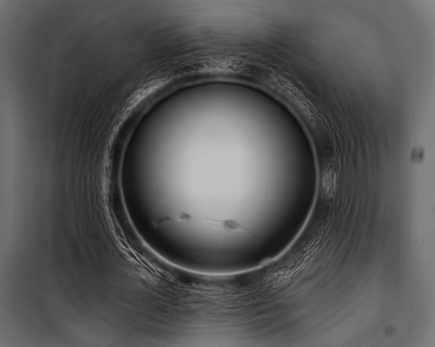 X0000100870724200806201240