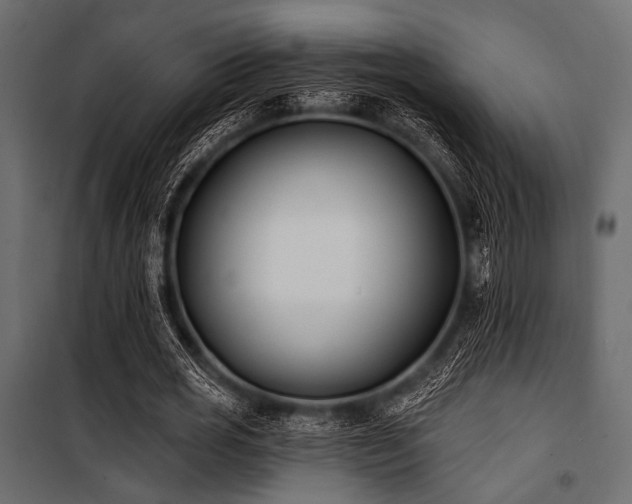 X0000100870725200806201240
